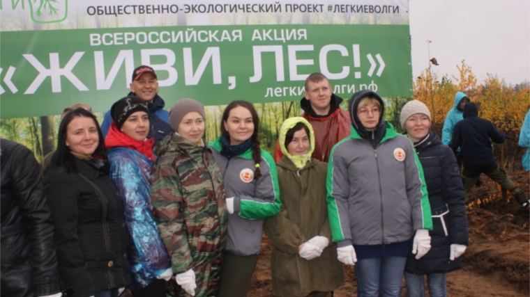 Всероссийская осенняя акции «Живи, лес!»