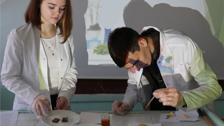 В чебоксарских школах ученики проверяют качество продуктов в рамках кружка «Юный квалитавист»