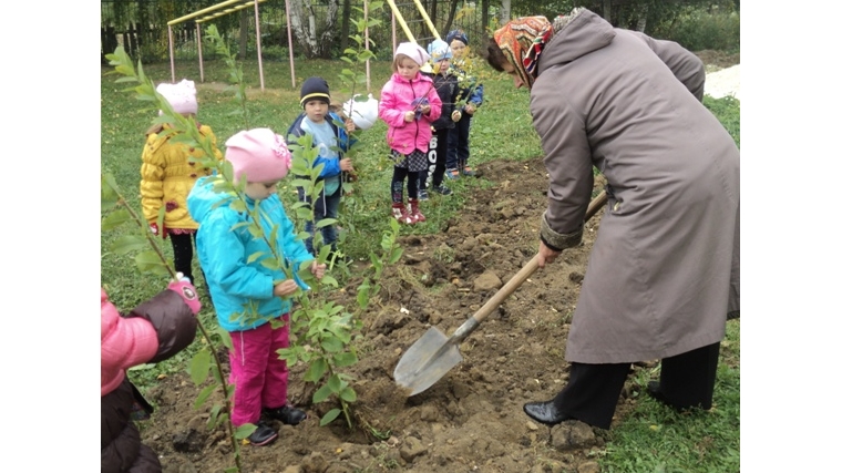 В образовательных организациях Порецкого района прошла акция «Посади дерево и сохрани его»