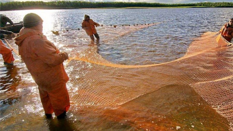 Вылов российских рыбаков приближается к 4 млн тонн водных биоресурсов
