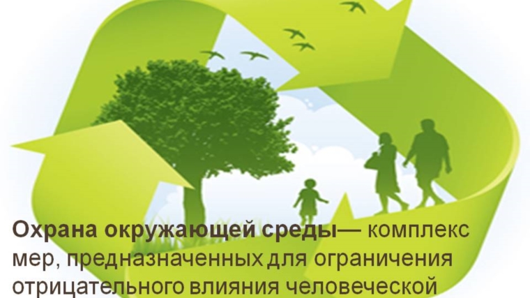 Сделаем город чище совместными усилиями
