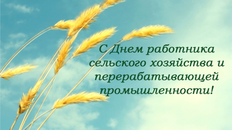 27 октября аграрии района отметят свой профессиональный праздник