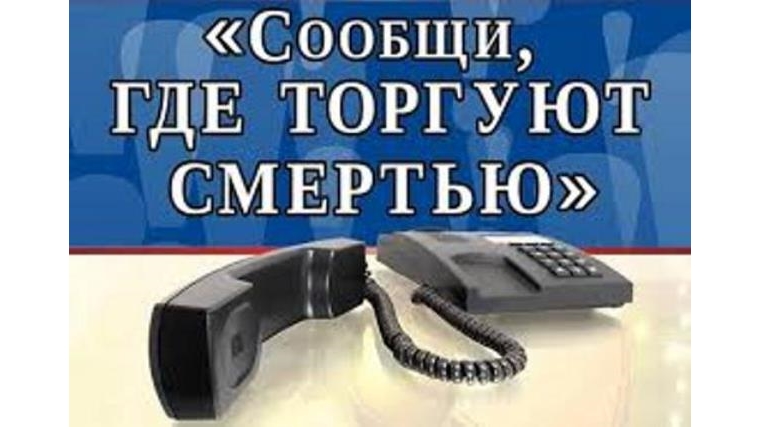 Антинаркотическая акция набирает обороты