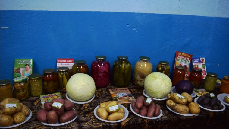 В Староатайском СДК прошёл праздник «Картошка, капуста и соленый огурец»