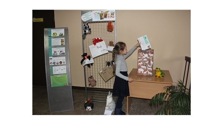 В Год экологии для школьников объявлен новый конкурс «Письма животным»
