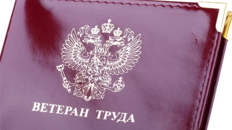 В 2017 года звание «Ветеран труда» и «Ветеран труда Чувашской Республики» присвоено 22 жителям Московского района г. Чебоксары