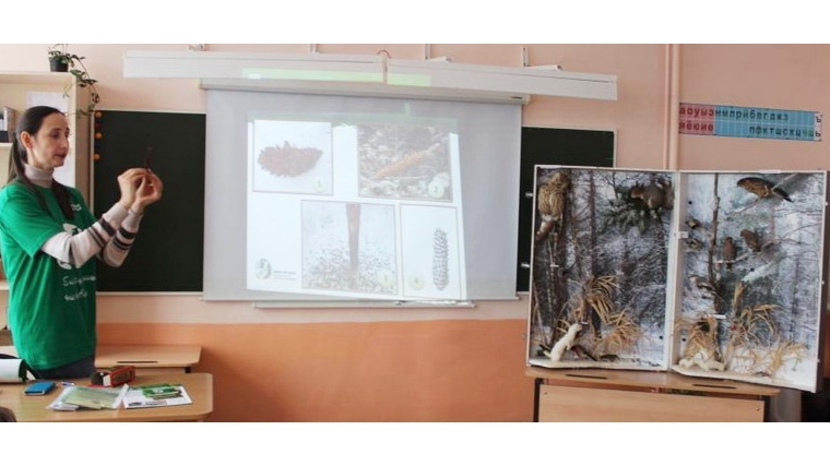 Сотрудники заповедника «Присурский» в рамках Года экологии в школах города Шумерля провели «Живые уроки»