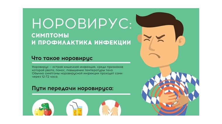 Роспотребнадзор по Чувашской Республике - Чуваши в г. Шумерля – о профилактике норовирусной инфекции