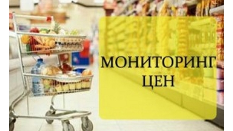 В преддверии Нового года в Московском районе проведен мониторинг цен на социально значимые продукты питания