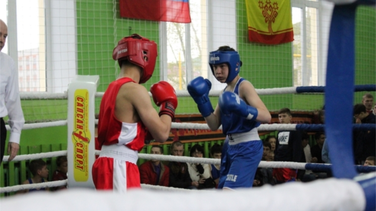 Спортивные мероприятия в рамках Декады спорта и здоровья в городе Канаш продолжились турниром по боксу «Новогодний ринг»