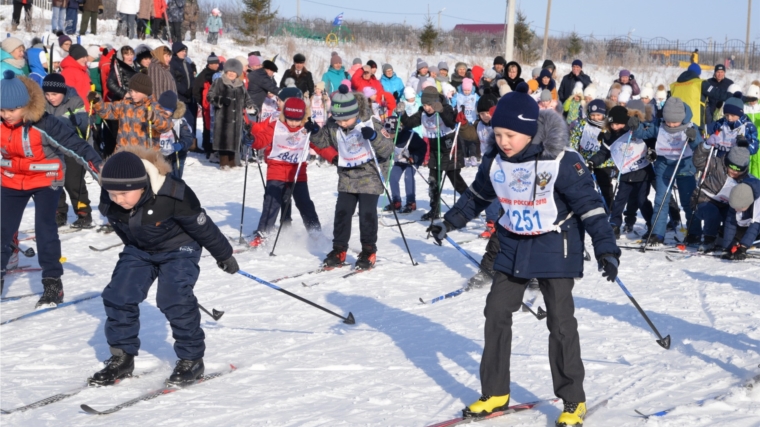 В «Лыжне России» участвовали 3980 лыжников Батыревского района