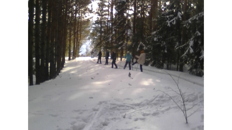 Лыжная гонка в зимнем лесу