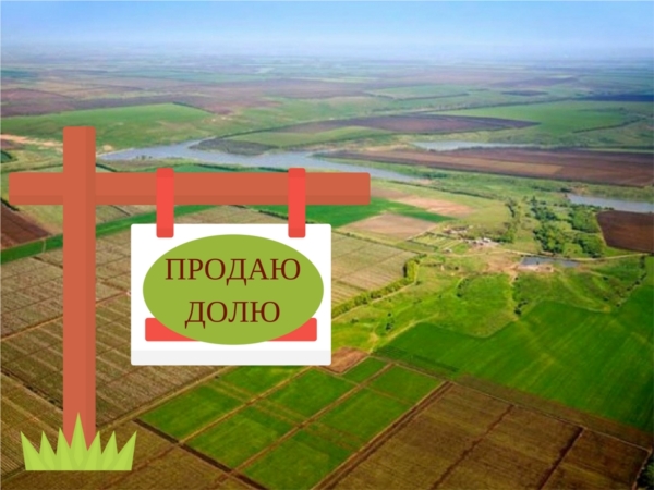 Известить о продаже своей доли можно через сайт Росреестра