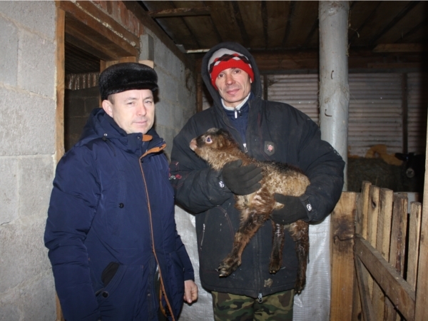 Çăкăр пĕрчĕрен пулать