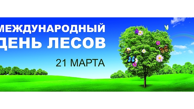 21 марта день леса картинка