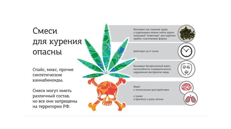 Курительные смеси опасны для здоровья