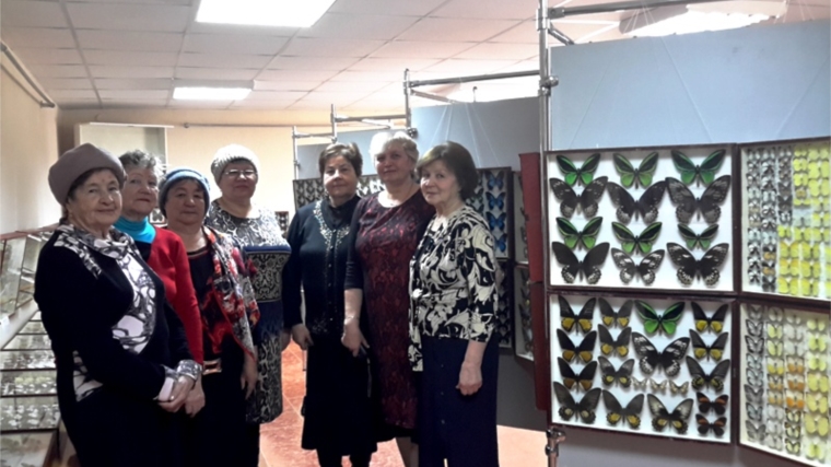 Ветераны Ядринского района посетили выставку «Бабочки и жуки мира» в Доме-музее Н.Д. Мордвинова