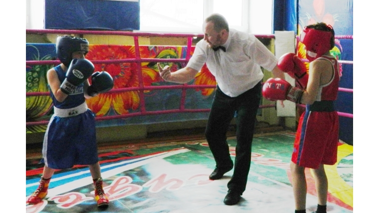 _Определил победителей прошедший в Алатыре открытый турнир по боксу среди детей