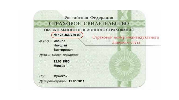 СНИЛСу исполнилось 22 года