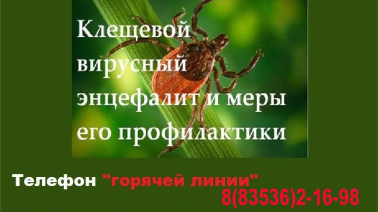 C 1 по 15 мая 2018 года будет работать горячая линия по профилактике клещевого энцефалита