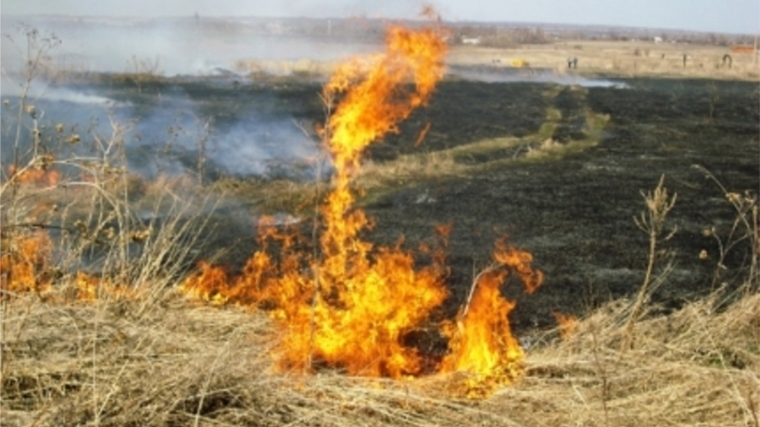 МЧС предупреждает: не сжигайте сухую траву и мусор!