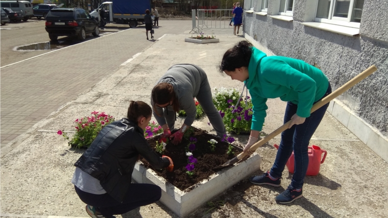 Сотрудники администрации города Канаш приняли участие в высадке цветов на городских клумбах