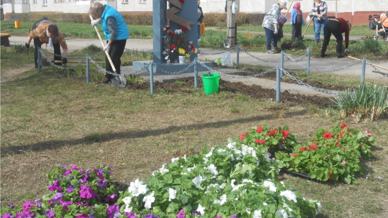 Жители ТОС «Юраковский» высадили более 500 штук рассады разноцветных петуний