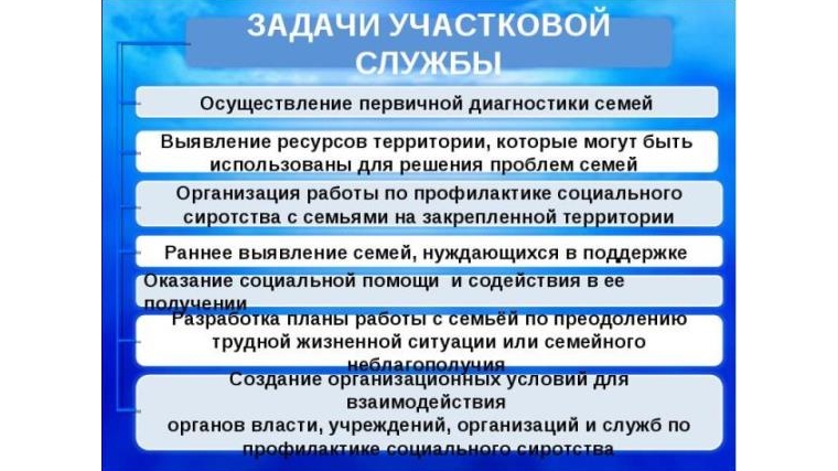 Участковая социальная служба как эффективная технология предупреждения сложной жизненной ситуации
