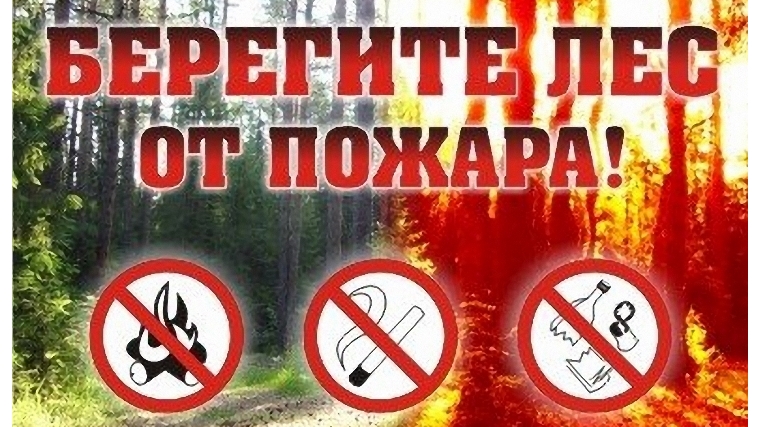 Правила пожарной безопасности в лесу: памятка водителю