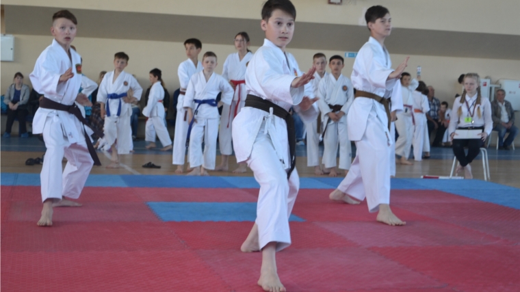 _В Алатыре прошёл открытый турнир по всестилевому каратэ-до, посвящённый Международному дню защиты детей