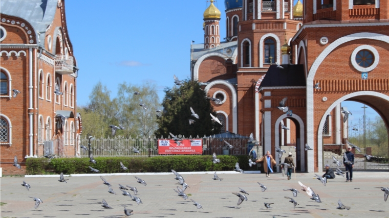 Погода в Новочебоксарске: в воскресенье горожан побалует лето