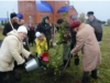 Патăрьелте экологи çулталăкне халалласа йывăçсем лартрĕç