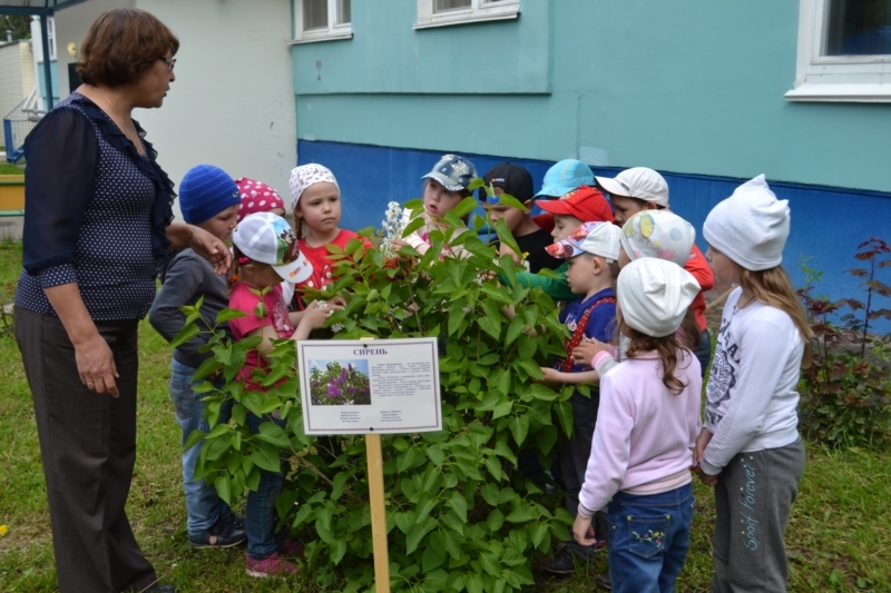 В Год экологии в России чебоксарские дошкольники осваивают новые направления "Живых уроков"