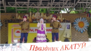 Ядринцы приняли участие на празднике «Акатуй» в Нижнем Новгороде