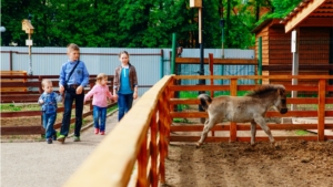 В парке им. Николаева активно внедряются современные тенденции развития