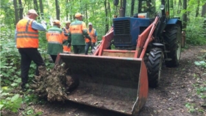 Здесь будет парк: предприятия ЖКХ провели экологическую акцию в лесном массиве у ДК Тракторостроителей