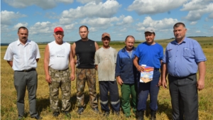 Определилась первая тройка лучших комбайнеров Красноармейского района