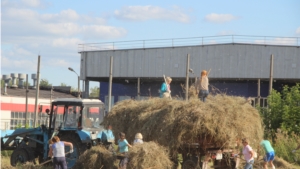 Экологические субботники в Новочебоксарске: Набережная преображается на глазах