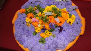 Ко Дню г. Ядрин и в рамках Года экологии открылась выставка «Планета цветов»