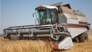 В Урмарском районе скошено 6705 га зерновых и зернобобовых культур, что составляет 39,5 % к их посевной площади