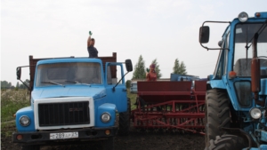 На полях Красночетайского района начался сев озимых зерновых культур