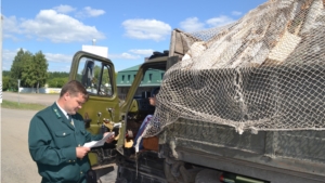 О мероприятиях по предотвращению незаконной заготовки и оборота древесины в границах Шемуршинского лесничества