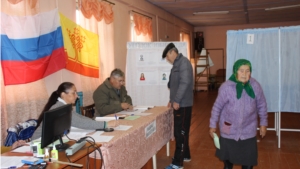 Голосование в Ядринском районе