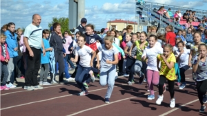 Всероссийский день бега объединил на беговой дорожке всех любителей легкой атлетики Порецкого района. Официальная часть