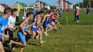 Чемпионате Чувашии по кроссу в Красноармейском районе