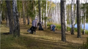 Очистка от мусора и посадка деревьев в Чебоксарском лесничестве
