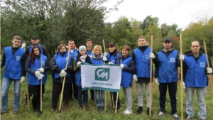 Сотрудники ПАО «Химпром» приняли участие во всероссийской экологической акции «Зеленая Россия»