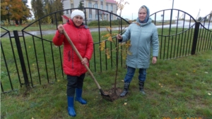 День дерева