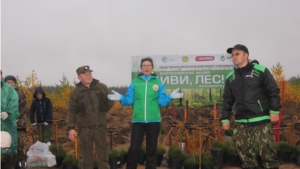 Центральное мероприятие в рамках Всероссийской акции "Живи, лес!"