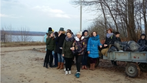 В Новочебоксарске продолжается традиционная городская акция «Чистая роща»